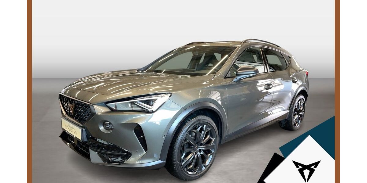 Cupra Formentor 33.581 km 28.820 &euro; Landshut 84030