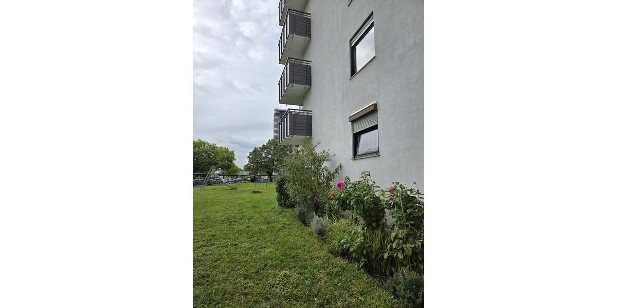 Top 3-Zimmerwohnung Waldrandlage sofort verfügbar 3 zimmer