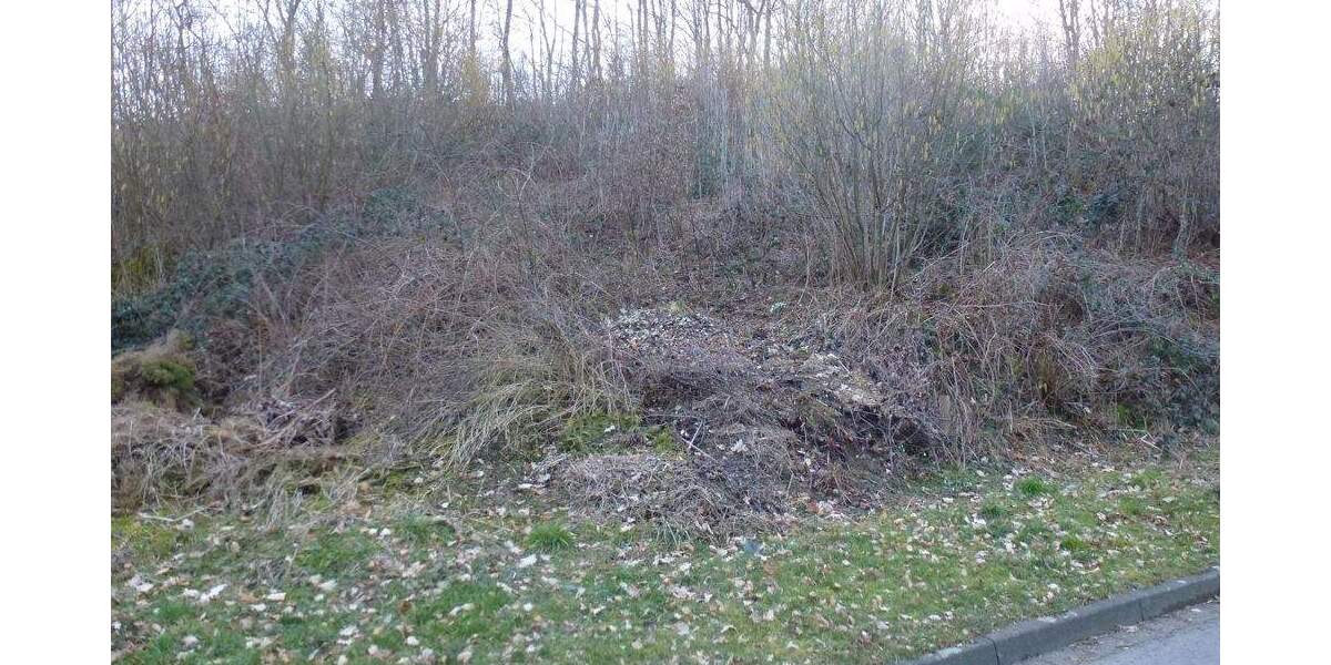 Grundstück Reichshof / Brüchermühle Brüchermühle - 54.000&euro; | Angebot:24903411