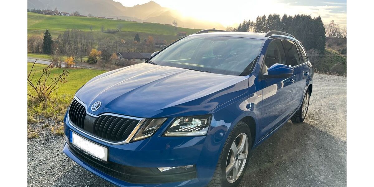 Skoda Octavia 155.000 km 16.800 &euro; Siegsdorf 83313