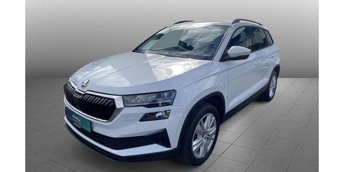 Skoda Karoq 24.113 km 30.590 &euro; Diez 65582