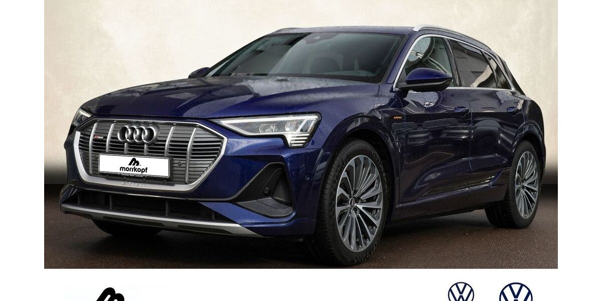 Audi e-tron 56.300 km 30.700 &euro; Weingarten 76356