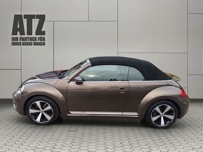 Beetle