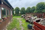 Einfamilienhaus Rabenkirchen-Faulück Faulück - 7 Zimmer, 180 m&sup2;, 435.000&euro; | Angebot:26946659