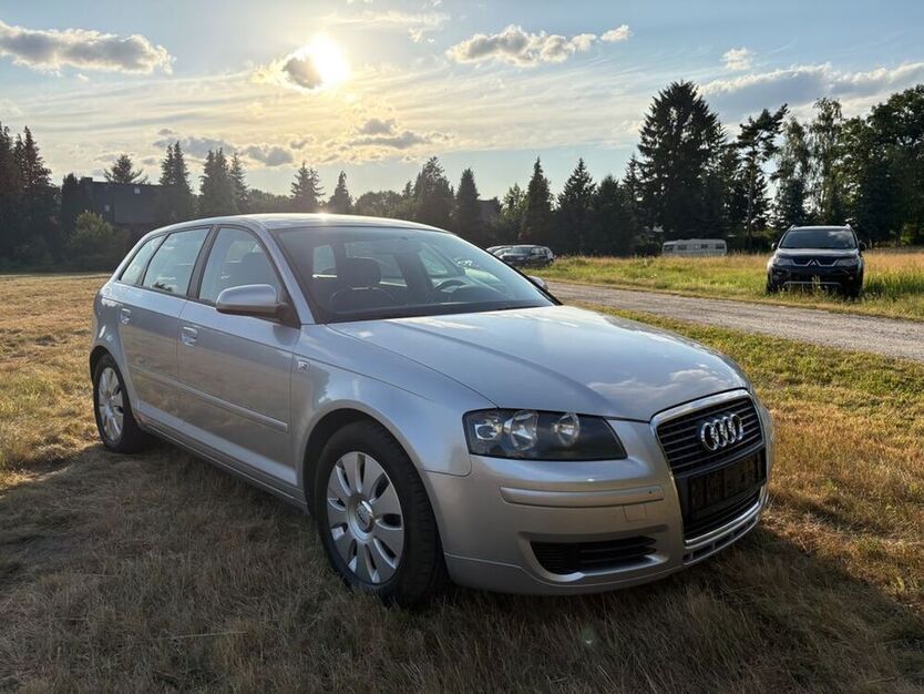 A3