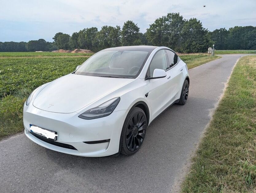 Model Y