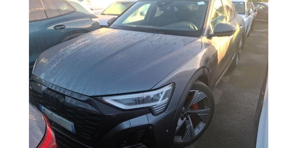 Audi Q8 26.459 km 58.900 &euro; Ettlingen 76275