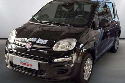 Fiat Panda 3.000 km 16.996 &euro; Bad Nauheim 61231