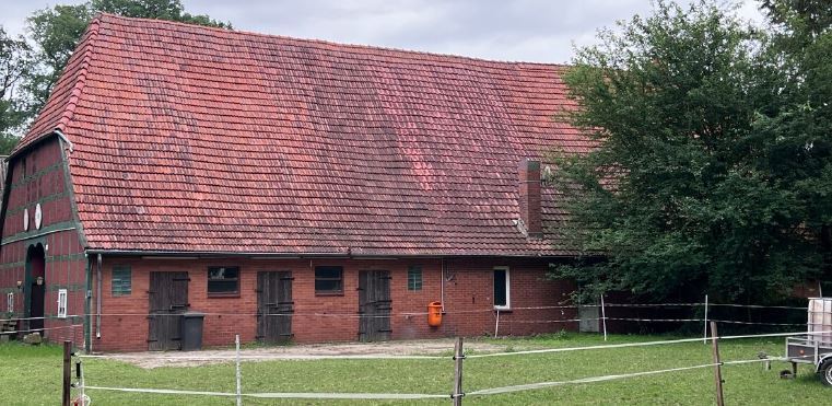 Historischer Niedersachsen- Bauernhof in Fachwerk mit Pferdeboxen u. tollen Eichenbaumbestand - Gewerbeobjekt Diepenau | Angebot:27142419