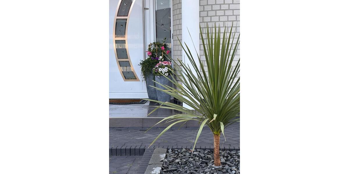 Einfamilienhaus Emstek - 5 Zimmer, 155 m&sup2;, 550.000&euro; | Angebot:26791272