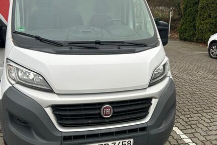 Fiat Ducato 156.500 km 13.000 &euro; Peine 31226