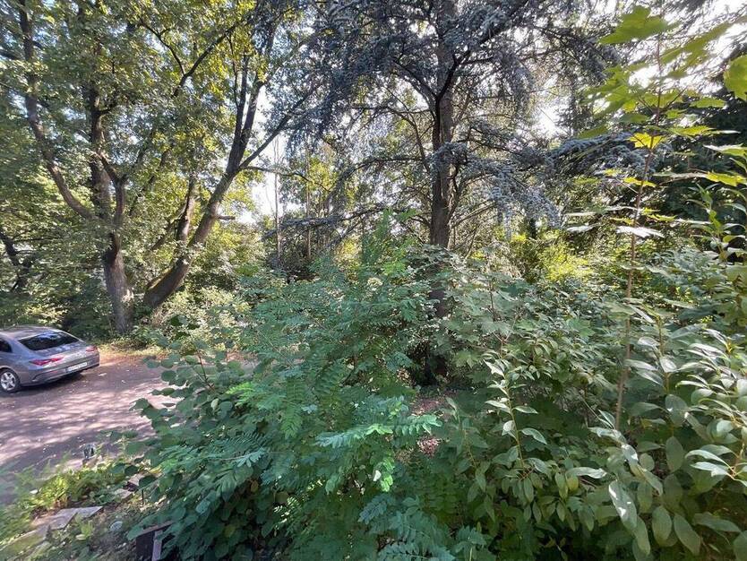 Seltene Gelegenheit -Exklusive Lage Grundstück in Amberg-Mariahilfberg mit Haus und Anbau