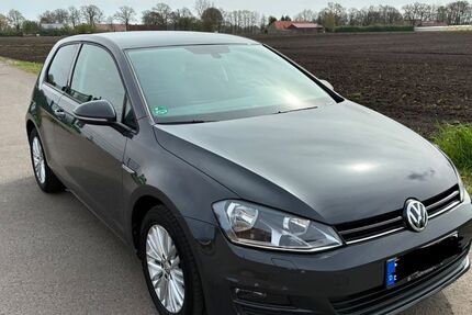 VW Golf 132.173 km 9.300 &euro; Schapen 48480