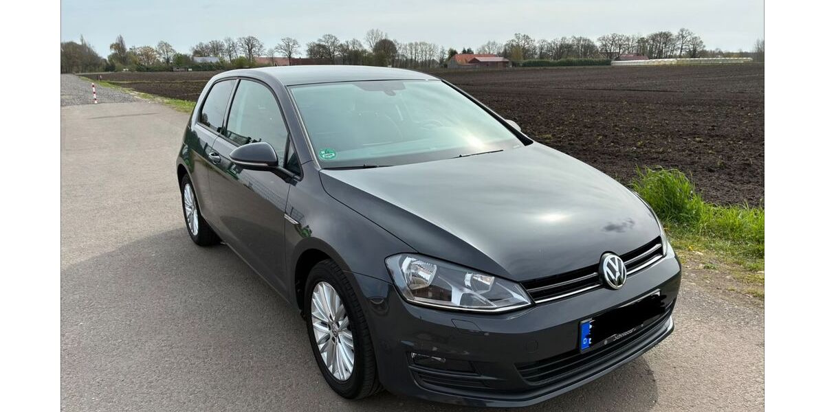 VW Golf 132.173 km 9.300 &euro; Schapen 48480