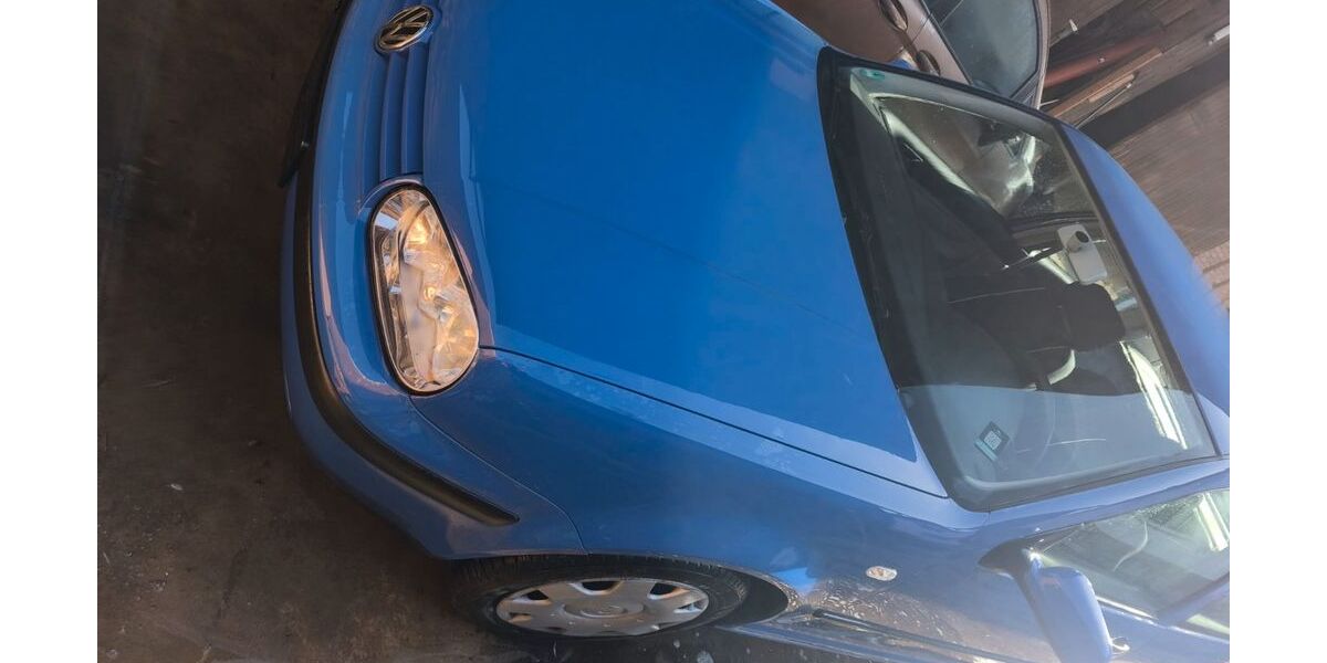 VW Golf 222.447 km 600 &euro; Alfeld (Leine) 31061