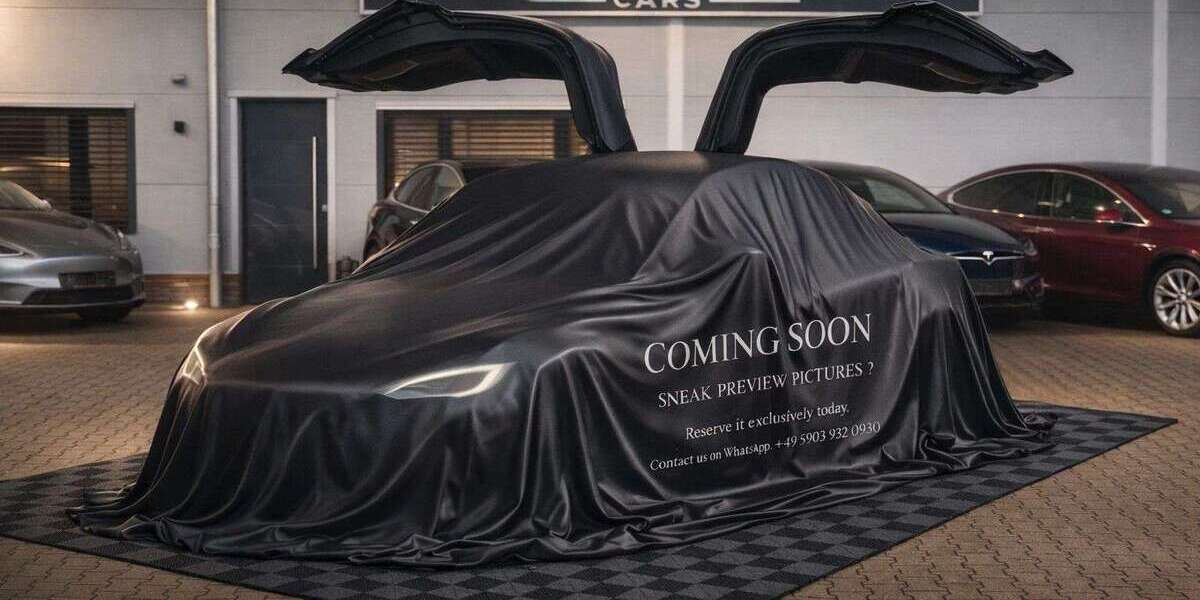 Tesla Model X 14.999 km 85.750 &euro; Emsbüren 48488