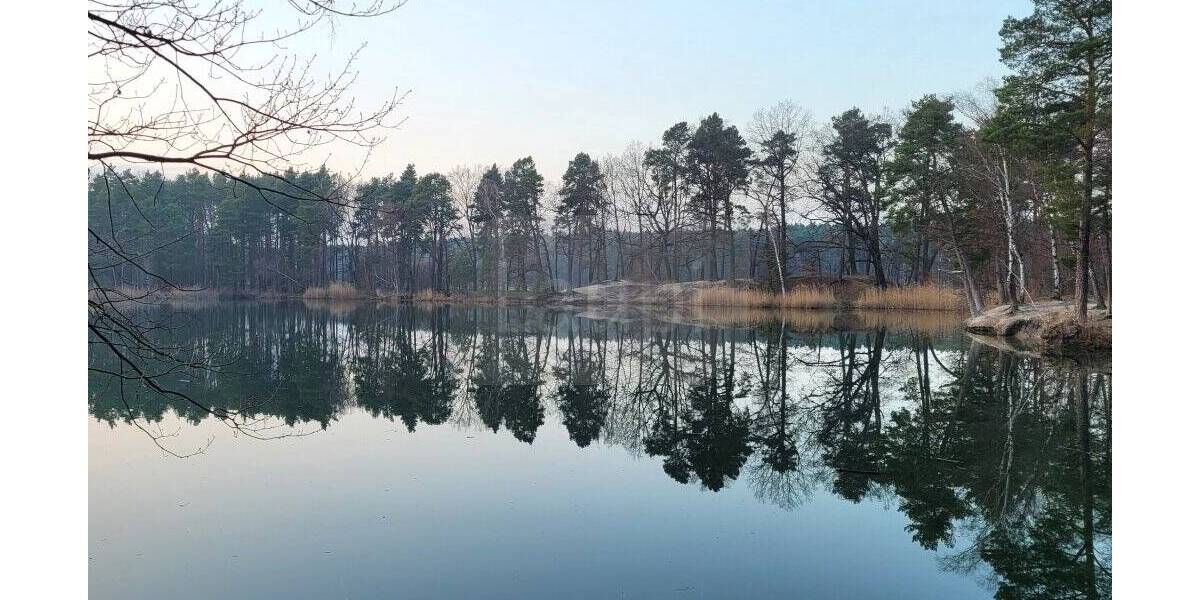 Grundstück Bad Schmiedeberg Reinharz - 17.000&euro; | Angebot:26684565