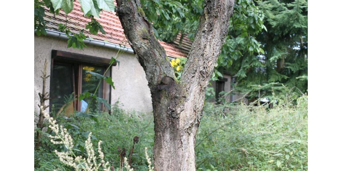 Bauernhaus, Landhaus Karstädt - 5 Zimmer, 150 m&sup2;, 1.500&euro; | Angebot:26089574