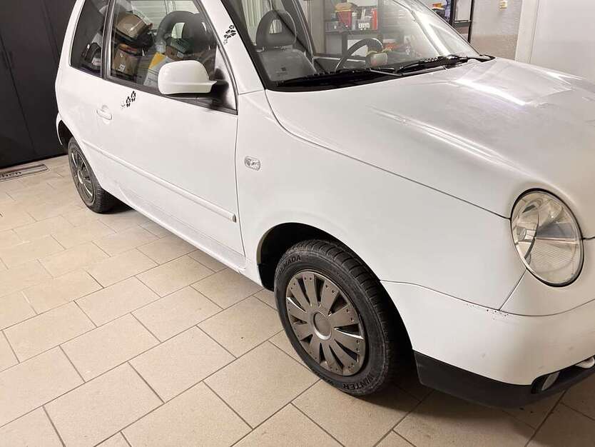 Lupo