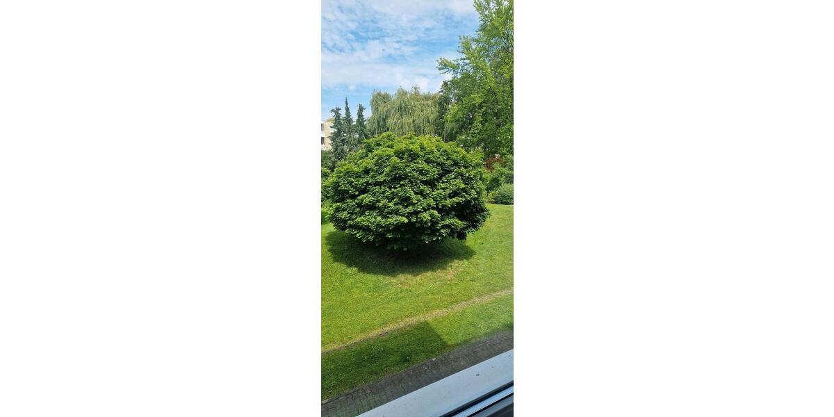 Etagenwohnung Braunschweig Timmerlah-Geitelde-Stiddien - 4 Zimmer, 99 m&sup2;, 280.000&euro; | Angebot:26934571