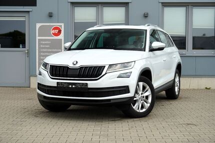 Skoda Kodiaq 167.769 km 21.989 &euro; werlte 49757
