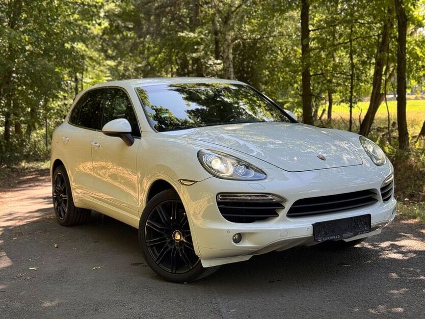 Cayenne
