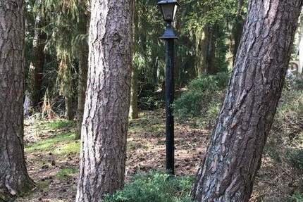 Grundstück Lindwedel - 175.000&euro; | Angebot:25772297