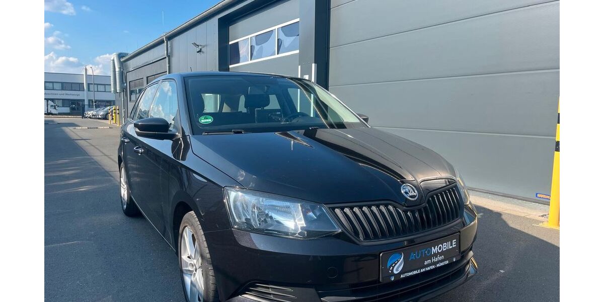 Skoda Fabia 91.000 km 7.990 &euro; Münster 48155