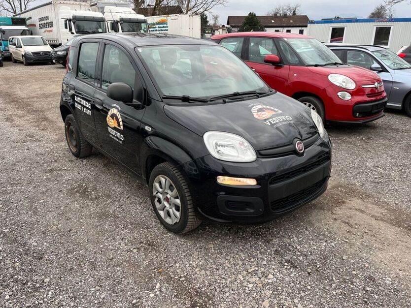 Panda
