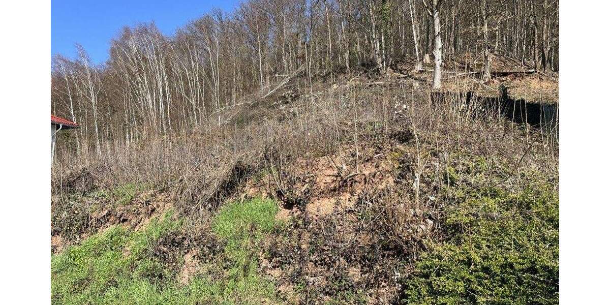 Grundstück Breuberg / Sandbach Sandbach - 119.000&euro; | Angebot:25424247