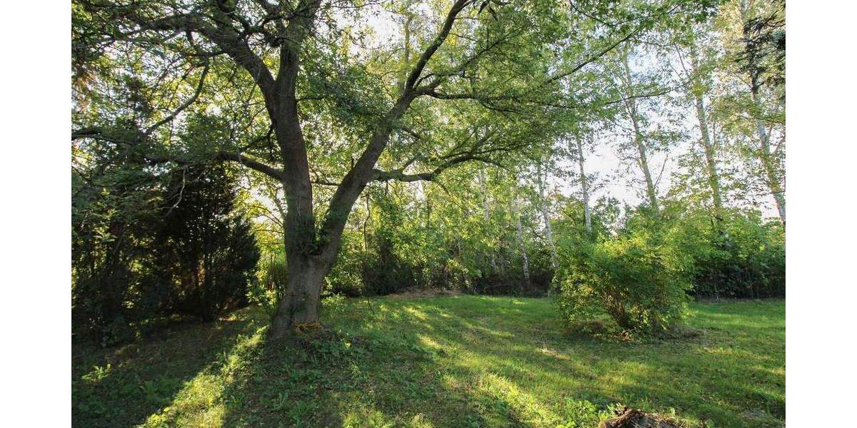 Grundstück Velgast Bussin - 59.900&euro; | Angebot:25478792