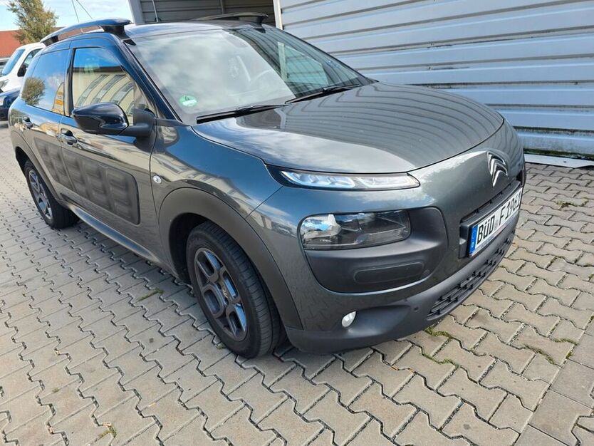 C4 Cactus