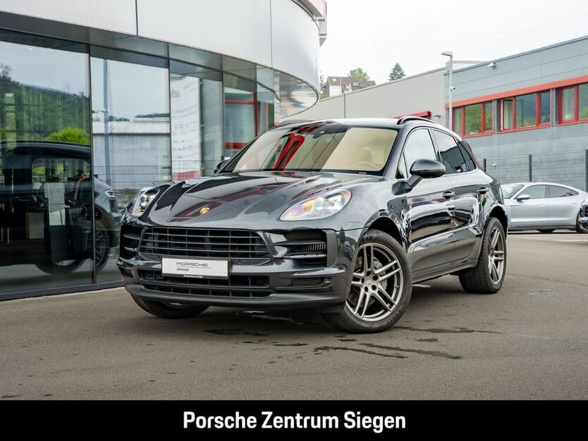 Macan