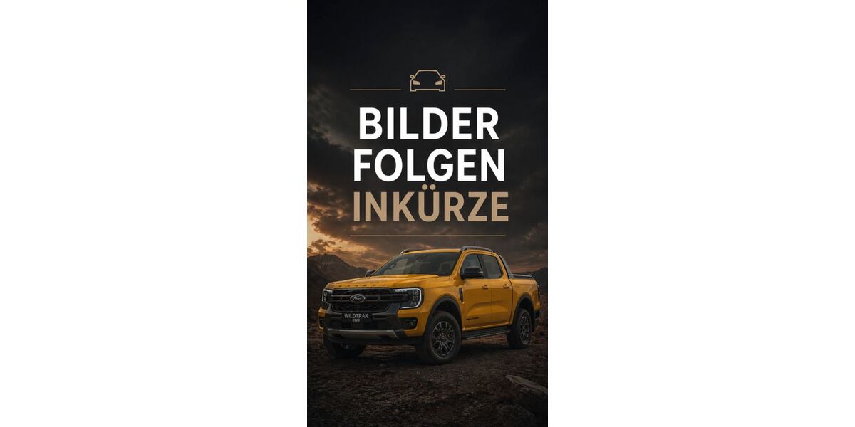 Ford Ranger 41.000 km 41.000 &euro; Schmelz 66839