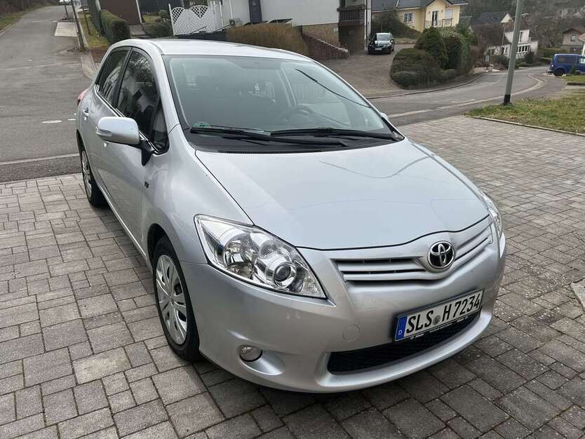 Auris