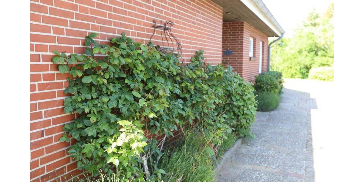 Mehrfamilienhaus, Wohnhaus Aventoft - 7 Zimmer, 180 m&sup2;, 480.000&euro; | Angebot:26879429