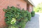 Mehrfamilienhaus, Wohnhaus Aventoft - 7 Zimmer, 180 m&sup2;, 480.000&euro; | Angebot:26879429