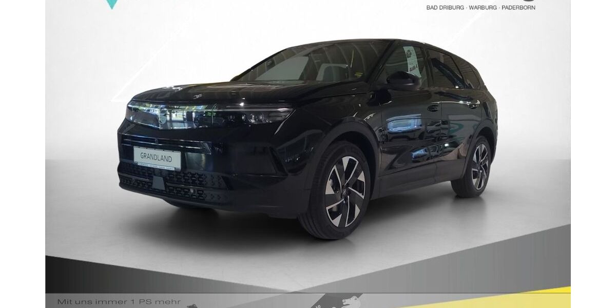 Opel Grandland (X) 7.500 km 39.890 € Warburg 34414