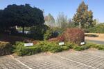Gewerbeobjekt Wernigerode - 135&euro; | Angebot:10583535