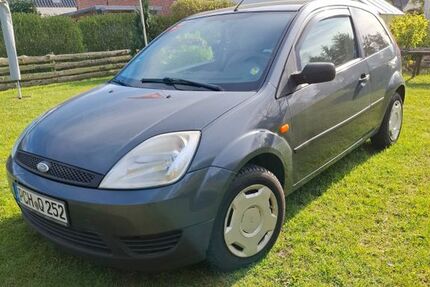 Ford Fiesta 187.000 km 1.300 &euro; Brenz 19306
