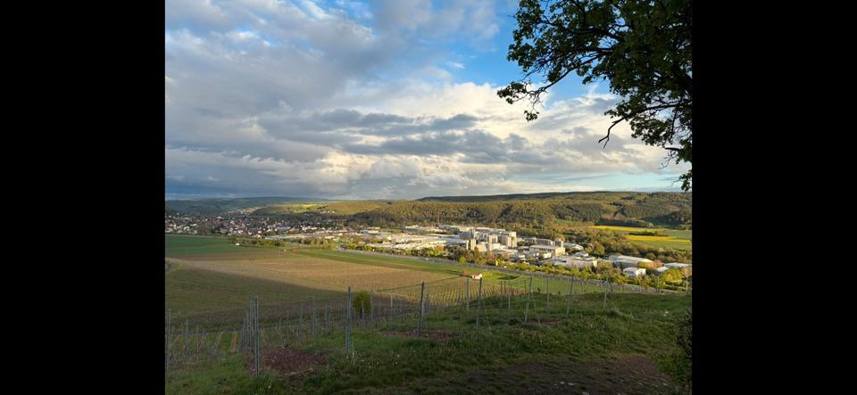 Gewerbegrundstück zur Vermietung in Bad Sobernheim