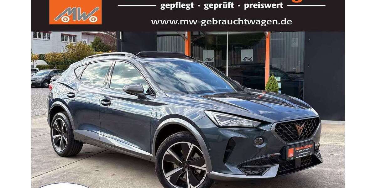 Cupra Formentor 19.999 km 26.990 &euro; Rottenburg 72108