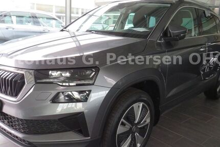 Skoda Karoq 24.400 km 32.900 € Silberstedt 24887