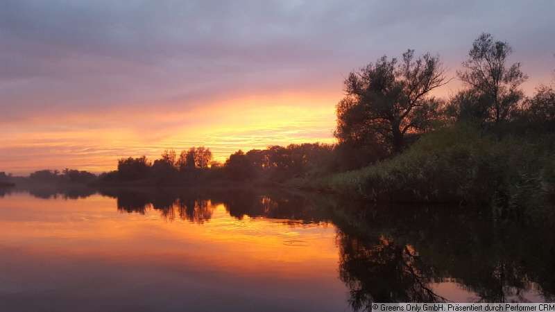 Einfamilienhaus Teterow - 2 Zimmer, 55 m&sup2;, 195.000&euro; | Angebot:25904800