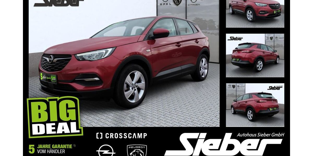 Opel Grandland (X) 51.603 km 16.490 &euro; Landshut 84034