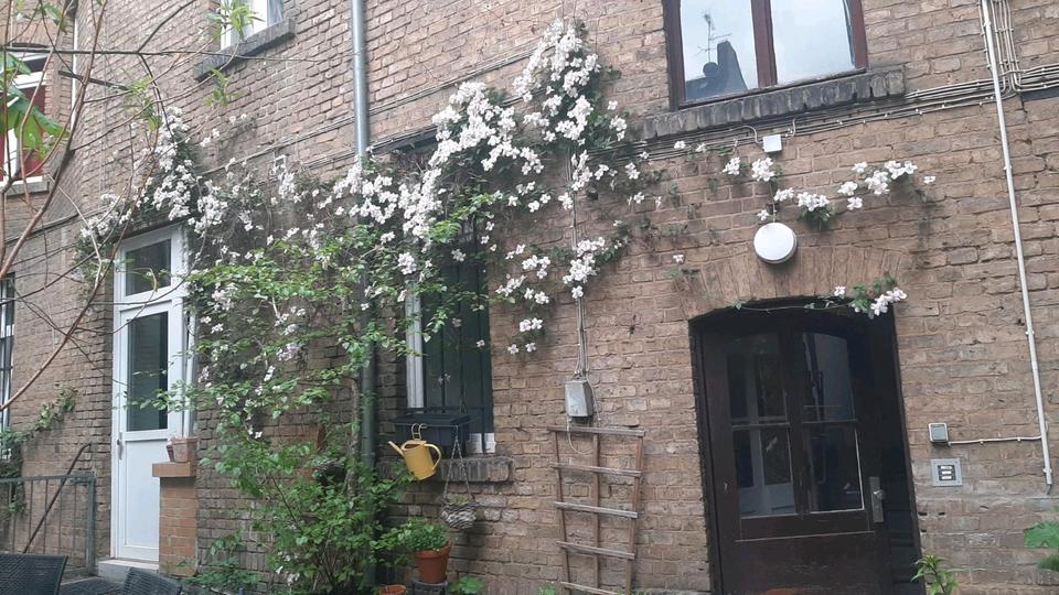 Erdgeschoßwohnung Wiesbaden Nordost - 1 Zimmer, 20 m&sup2;, 450&euro; | Angebot:24877668