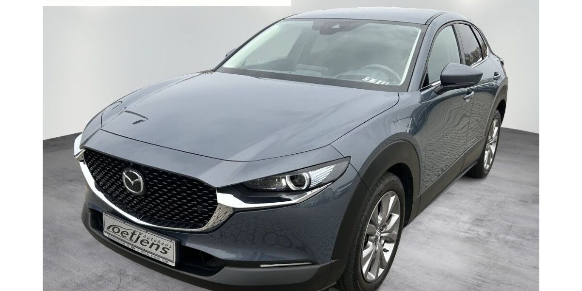 Mazda CX-30 115.945 km 15.980 &euro; Torgau 04860