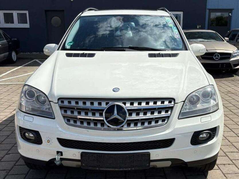 ML 320