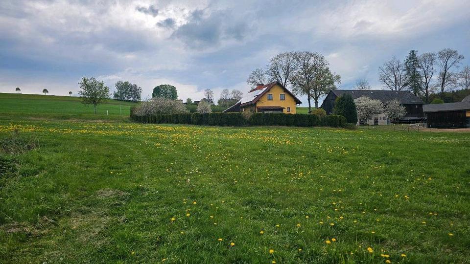 Einfamilienhaus Marktredwitz - 399.000&euro; | Angebot:26506212