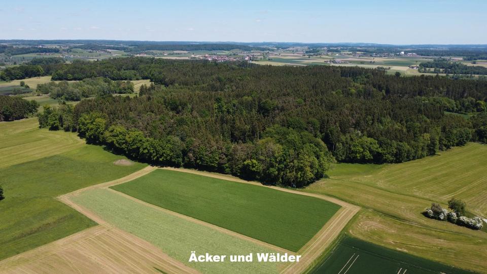 Einfamilienhaus München Altstadt-Lehel - 3.400.000&euro; | Angebot:27146124